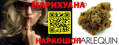 твердый Пугачёв