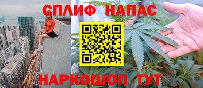 твердый Пугачёв