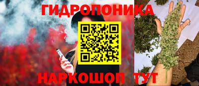 твердый Пугачёв