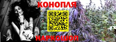 твердый Пугачёв