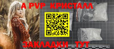 твердый Пугачёв