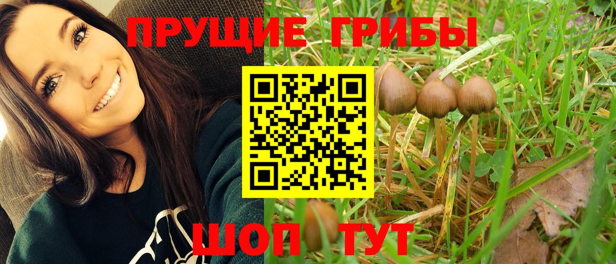 Псилоцибиновые грибы мицелий  Вход с VPN  где найти   Саров 