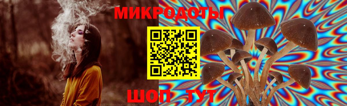 Галлюциногенные грибы мицелий Саров